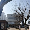 군산공설시장 | 군산 공설시장 쯔양 맛집 평화족발 매운잡채 후기