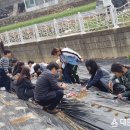 진정초등학교 이미지