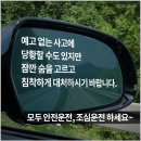 지혜롭다