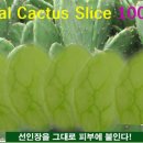 송학마을 이미지