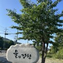 운길산역 | 남양주 물의정원 산책 후기｜운길산역 데이트 코스 &amp; 피크닉 추천