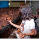 연화농장 이미지