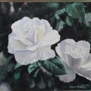 아크릴화(야간) 이미지