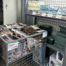 김포한강3로 | 디데이산타아울렛 김포점 방문 솔직후기