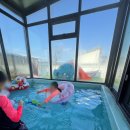 아이스크림 키즈 풀빌라 | 경주 아이스크림 키즈 풀빌라｜내돈내산 솔직 후기