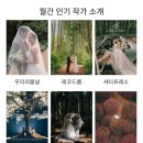 제주코 | [코지스트]&amp;[슈퍼헬퍼] 제주웨딩스냅 코지스트 계약후기