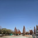 낙동강체육공원 하류제방화장실 | [공지] 구미카라반 낙동강체육공원 k15 아이와 가기 좋은 캠핑장 추천