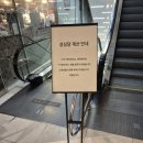 [맛집/디저트] 성심당 롯데백화점 대전점 망고시루 아기랑 오픈런 후기