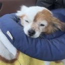 니나호프 | 이렇게 지내고 있다