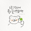 (주)단디