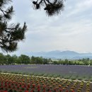 상만농장 이미지