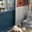 유진국밥 이미지