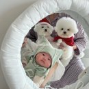 서대구모터스 이미지