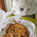 육단2길 이미지