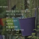 하꼬멘 네이버블로그