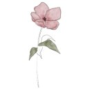 채울꽃 네이버블로그