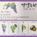 벧엘농원 이미지