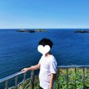 유한회사  제주사랑여행사 | 제주 여행 품격을 높이는 선택 15인승 쏠라티 드라이빙 가이드 투어