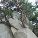 동축사 이미지