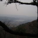 호당리 Daum카페
