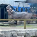 아르비토 이미지