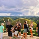 반딧불 프리미엄 | 보홀 나팔링 발리카삭 초콜릿힐 반딧불 투어 후기