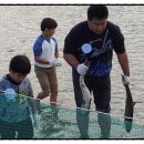 거북바위펜션 이미지