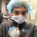 루브리카 이미지