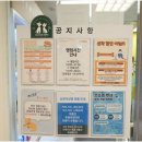 죽전쿨펫동물병원
