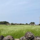 (주)민우 | [제주 SK fc vs 부천 fc] 연고 이전 더비 직관 후기를 곁들인 올팬존 시야, 맛집, 숙소 추천