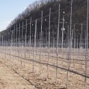 귀농농장 이미지