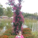 유림-1024 이미지