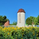 서울대학교 농업생명과학대학 실험목장 이미지