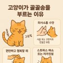 골골송