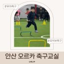 상록수 | 안산 축구학원 오르카축구교실 후기 상록수 유치부 무료체험 후 등록