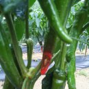 (주)휴먼콘트롤즈 이미지