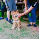 기찬흑염소 네이버블로그