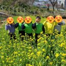 숲속성광유치원 이미지