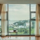 프래밀리풀빌라호텔 | 아이와 가기 좋은 거제 프래밀리 풀빌라호텔 인피니티풀 후기