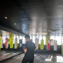 제일복싱 | 운동 진짜 처음이라도 괜찮았던 창동역 복싱 솔직 후기