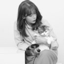 주식회사 패닉버튼