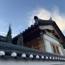 홍시스테이 이미지