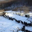 나눔염소농장 이미지