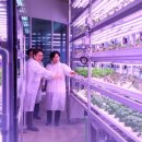 상도축산 이미지