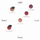 앤소프트 | 가을웜톤 크림블러셔 추천, 샵한현재 립앤치크 뮤티드살몬 소프트모카 후기