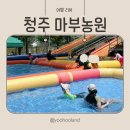 대원산업가스 | 청주 아이와가볼만한곳 야외수영장 동물체험 청주 마부농원 후기