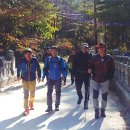 소백산 자락길 이미지