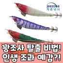 삼봉환경 | 퍼플 삼봉에기 수박애기 심해 갑오징어에기 쭈갑 한치에기 구매 가이드 &amp; 완벽 분석
