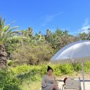 자락협재 이미지