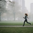 바람이지나간자리 이미지